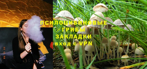 а пвп мука Вяземский